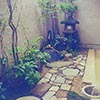 庭の小物、作庭例_写真01_坪庭の作庭例